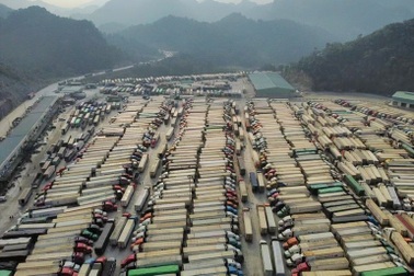 Thị trường Trung Quốc và "chứng hay quên" của người Việt