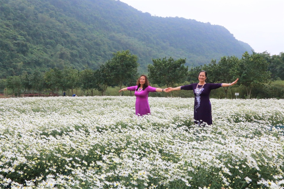 Vườn cúc họa mi nghìn người mê, đến chụp ảnh không muốn về ở Ninh Bình - 3 Vườn cúc họa mi nghìn người mê, đến chụp ảnh không muốn về ở Ninh Bình - 3