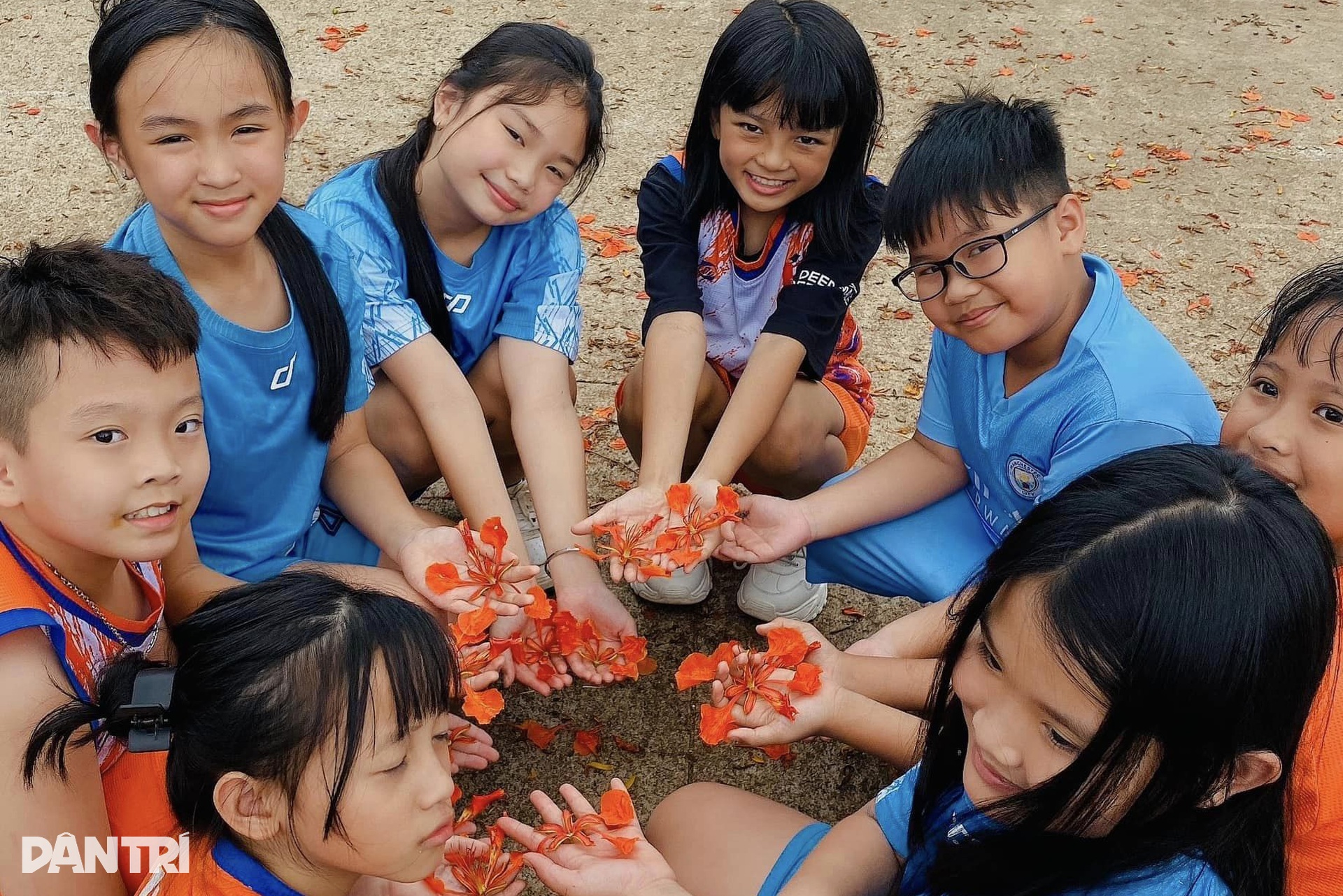 Hoa phượng nhuộm đỏ sân trường ở phố núi Gia Lai - 8