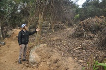 Được trả công gần 200 nghìn mỗi ngày để... phá rừng