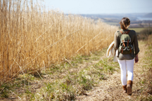 Những khúc quanh trong đời