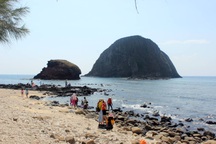 Phú Yên: Thành lập tổ bảo vệ để bảo tồn rạn san hô Hòn Yến