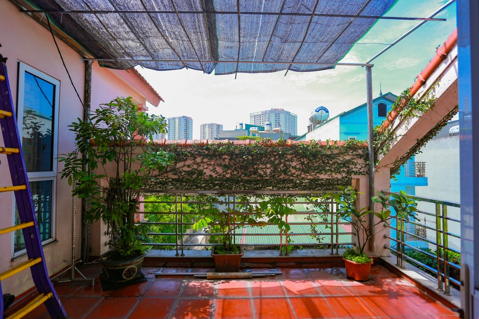Sững sờ trước ngôi nhà phố được “ngụy trang” bằng dây leo ở Hà Nội - 9 Sững sờ trước ngôi nhà phố được “ngụy trang” bằng dây leo ở Hà Nội - 9
