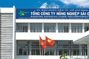 TPHCM tăng “án” kỷ luật với Tổng Giám đốc Sagri Lê Tấn Hùng