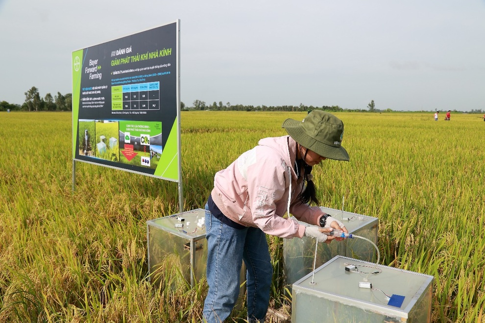 Thành tựu sau một năm triển khai mô hình canh tác lúa bền vững ForwardFarming - 2 Thành tựu sau một năm triển khai mô hình canh tác lúa bền vững ForwardFarming - 2
