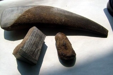 Sừng tê giác: Alô là có!