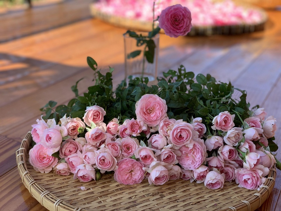 Chi tiền tỷ mua mảnh đất ngoại ô, vợ chồng ở Sài Gòn “trồng hoa, nuôi gà” - 9 Chi tiền tỷ mua mảnh đất ngoại ô, vợ chồng ở Sài Gòn “trồng hoa, nuôi gà” - 9