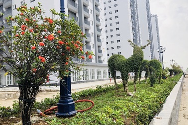 Ngắm chung cư siêu sang 10 triệu/m2 sắp bàn giao của Tập đoàn Mường Thanh