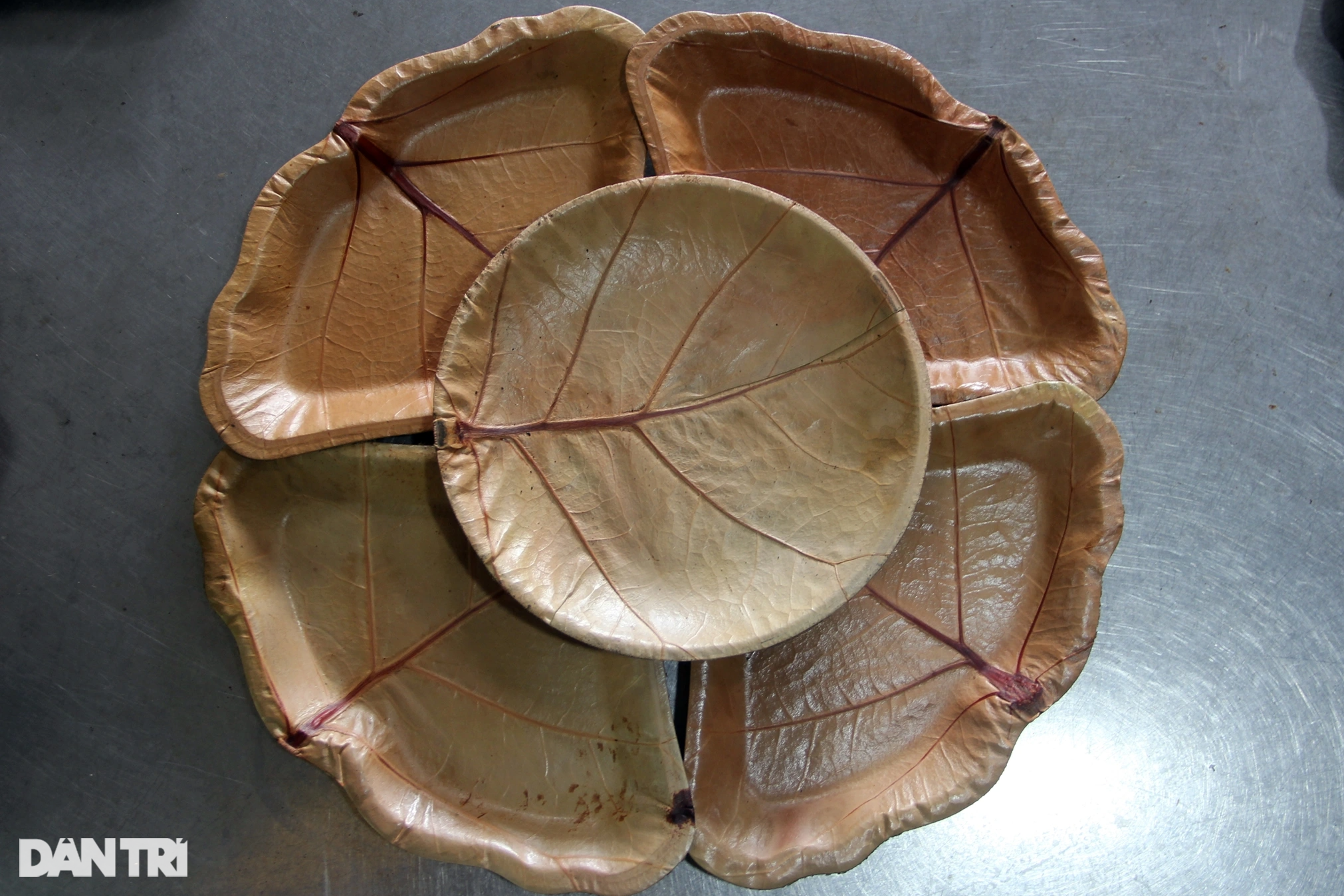 بیرون ملک برآمد شدہ ٹرا پتیوں سے اربوں کی آمدنی ہوتی ہے۔ Lá tra xuất ngoại mang về tiền tỷ - 12