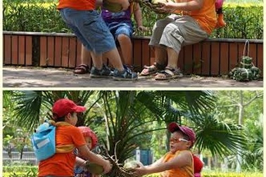 Phụ huynh thích xem gì?