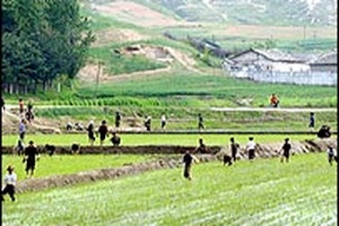 Liên Hợp Quốc nối lại viện trợ cho CHDCND Triều Tiên