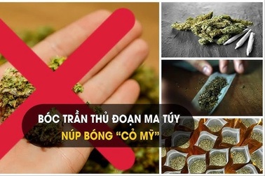 Hai học sinh bị khởi tố vì mua bán, sử dụng "cỏ Mỹ"