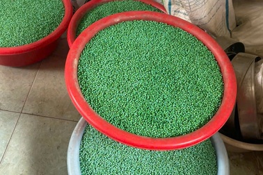 Đường dây thuốc giả "khủng": Thành phần toàn thuốc giảm đau