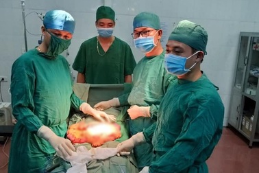 Ngăn bò "chọi" nhau, gia chủ bị bò nhà húc thủng bụng