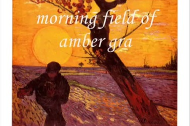 Nghe Don McLean thể hiện ca khúc "Vincent - Starry, Starry Night"