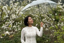 Mộc Châu "hốt bạc" mùa hoa mận, thu 1.209 tỷ đồng nhờ khách tăng đột biến