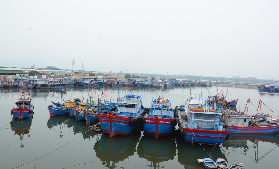 Giải pháp nào cho nghề cá khi thiếu lao động đi biển? - 3 Giải pháp nào cho nghề cá khi thiếu lao động đi biển? - 3