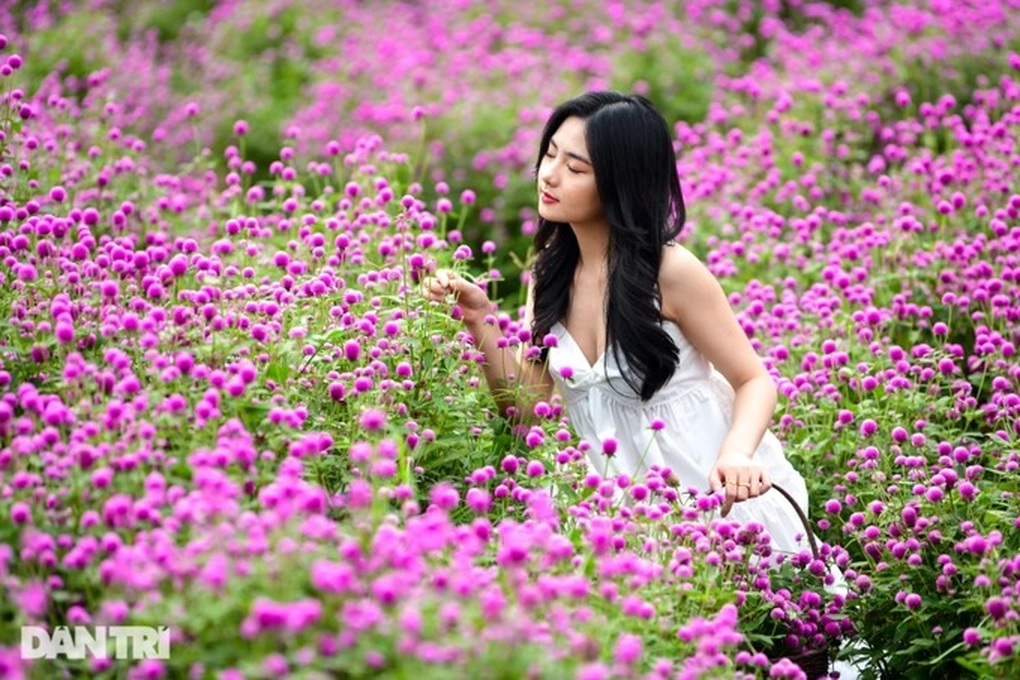Một trong 5 điểm đến quốc tế có lượng tìm kiếm nhiều nhất gọi tên Việt Nam - 3 Một trong 5 điểm đến quốc tế có lượng tìm kiếm nhiều nhất gọi tên Việt Nam - 3