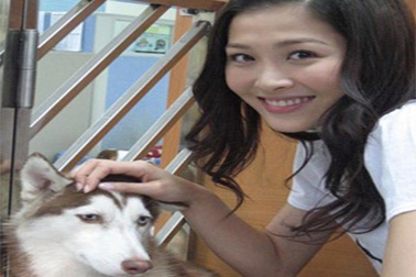 Yêu động vật, bạn làm nghề gì?