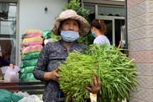 Quảng Ngãi hỗ trợ người dân tỉnh nhà đang mưu sinh tại TPHCM 2 tỷ đồng