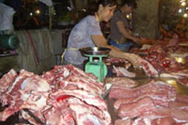 Đã có phác đồ chẩn đoán và điều trị bệnh liên cầu lợn ở người