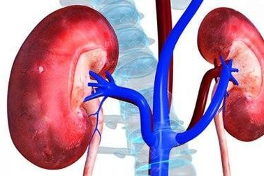 Đi tiểu ra máu, cẩn thận bạn đã mắc suy thận