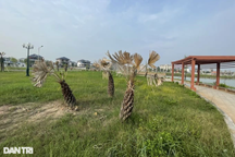 Thanh Hóa rà soát các dự án cây xanh theo yêu cầu của Bộ Công an