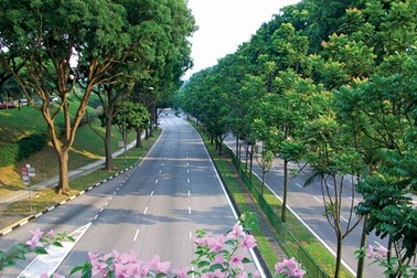 Lý Quang Diệu và những quyết sách đưa Singapore trở thành "quốc đảo xanh"