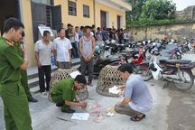 Triệt phá trường gà “khủng” thu giữ gần 700 triệu đồng