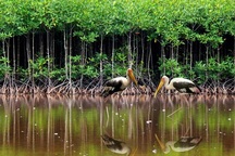 Chi hàng triệu Euro để bảo tồn bền vững đa dạng sinh học