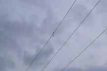 Dùng gậy lấy diều bị mắc trên dây điện cao thế, 3 nam sinh thương vong