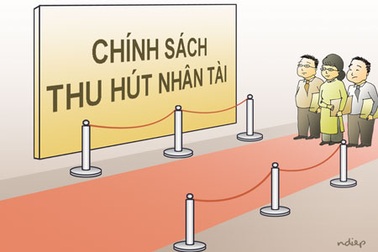 Chỉ cần biết sử dụng người tài là quá đủ!