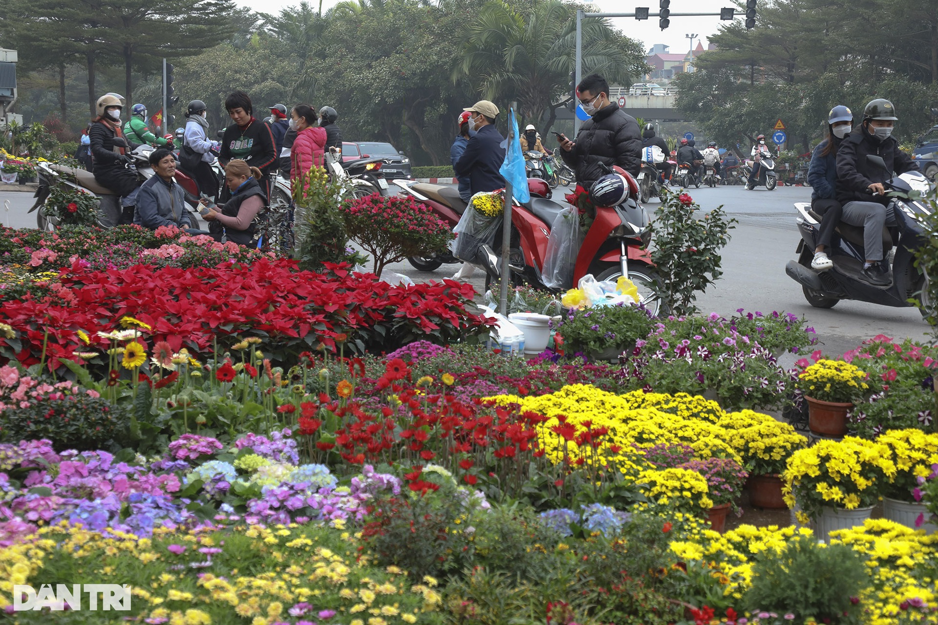 People flock to Lac Long Quan flower market to shop for Tet - 5