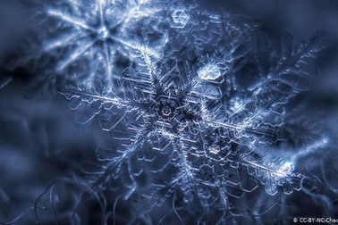 Vòng đời của một bông tuyết