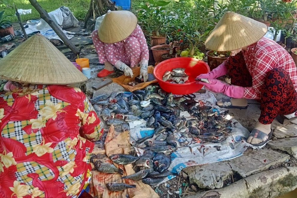 Bơi xuồng giăng lưới cá, xẻ từng con phơi khô gửi đồng hương ở vùng dịch - 1 Bơi xuồng giăng lưới cá, xẻ từng con phơi khô gửi đồng hương ở vùng dịch - 1