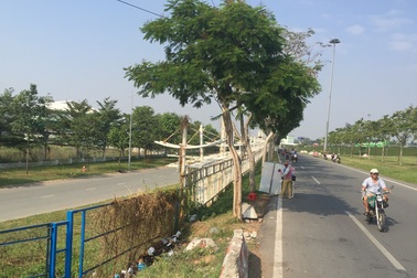 Hàng loạt nữ công nhân bị đâm kim tiêm vào ngực