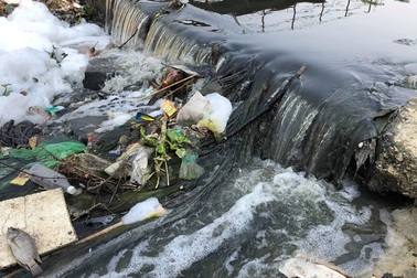 Cá chết, rác thải lại nổi đầy các kênh nước ở Đà Nẵng