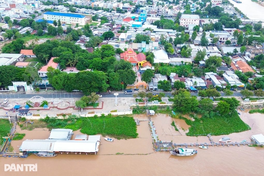 Đàn cá trời ban và ký hiệu đặc biệt trên đầu được cưng như con ở miền Tây - 1 Đàn cá trời ban và ký hiệu đặc biệt trên đầu được cưng như con ở miền Tây - 1