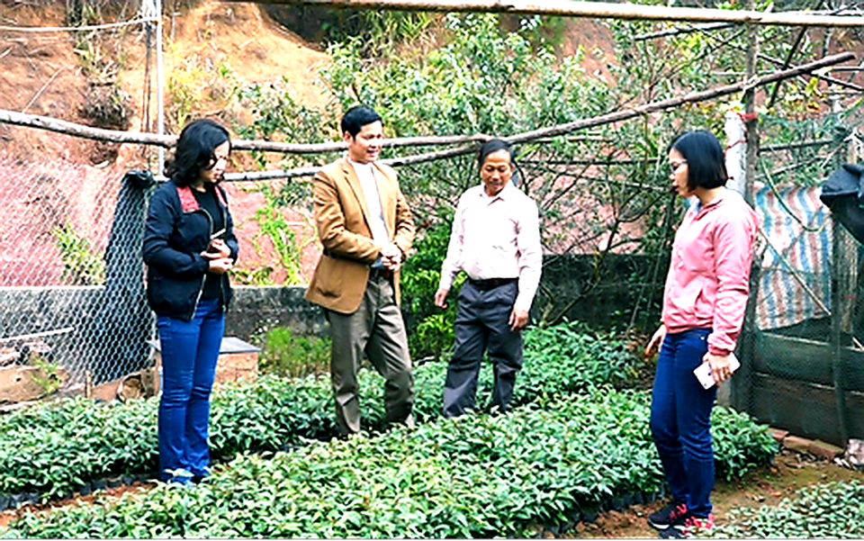 Lạng Sơn: Kiếm bộn tiền nhờ ghép cây đào chuông quý hiếm ra hoa đẹp, độc, lạ. - 3 Lạng Sơn: Kiếm bộn tiền nhờ ghép cây đào chuông quý hiếm ra hoa đẹp, độc, lạ. - 3