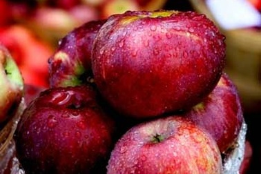 Thực phẩm cho người hay quên