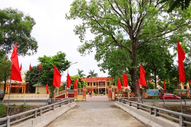 Xã đấu giá hai cây xà cừ đổ do bão, cao hơn khởi điểm 100.000 đồng