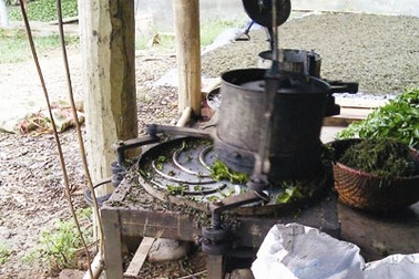 Tăng cường kiểm tra, giám sát “chè bẩn”