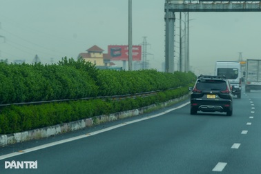Trồng cây xanh trên cao tốc: Tưới nước tự động, cơ giới hóa việc cắt tỉa
