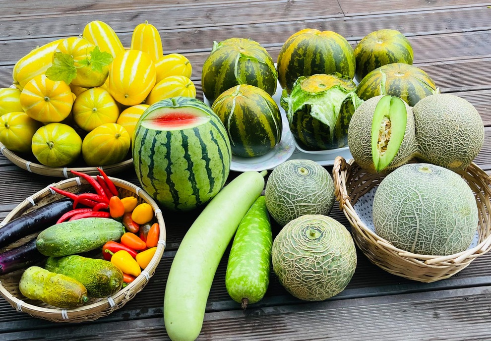 Mẹ Việt tự cuốc đất trồng rau, làm vườn hữu cơ tại Hàn Quốc - 1 Mẹ Việt tự cuốc đất trồng rau, làm vườn hữu cơ tại Hàn Quốc - 1