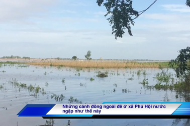 Lũ lên nhanh, dân trở tay không kịp