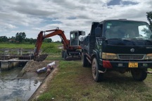 Chính quyền xin lỗi dân vì mùi hôi thối khi xử lý xác lợn chết