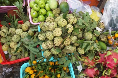 Chạnh lòng trái cây nội