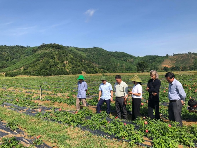 A Lưới đang đầu tư nhiều mô hình sinh kế giúp phát triển kinh tế - xã hội, hướng tới thoát nghèo bền vững