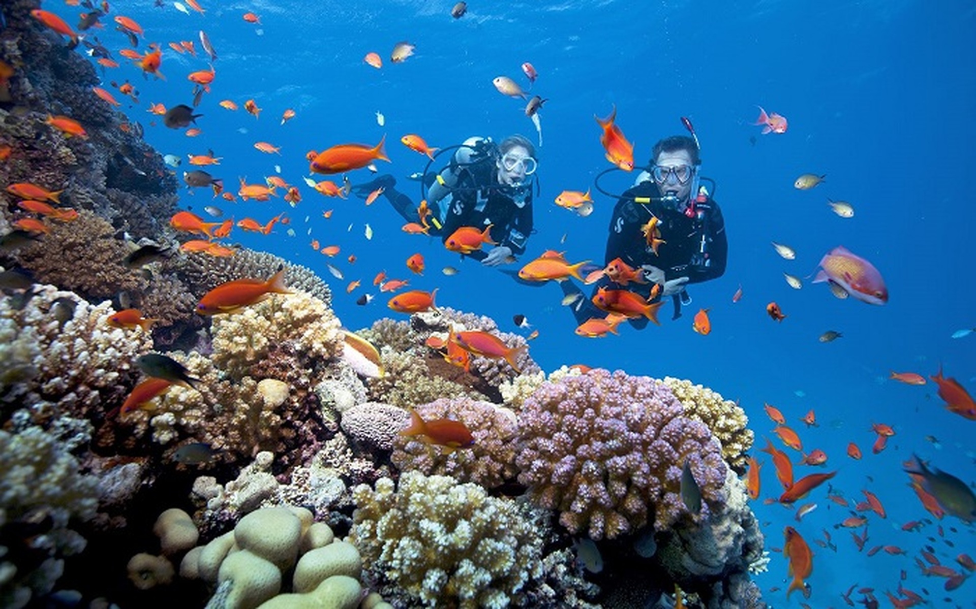 Khám phá hoang đảo đẹp như Maldives ở Kiên Giang - 7 Khám phá hoang đảo đẹp như Maldives ở Kiên Giang - 7