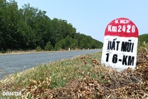 “Nghe có đường cao tốc về tận Đất Mũi mừng lắm!”